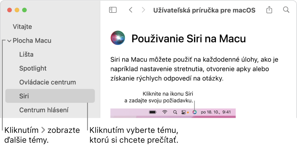 Prehliadač Pomocníka znázorňujúci spôsob zobrazenia tém z postranného panela a spôsob zobrazenia obsahu témy.