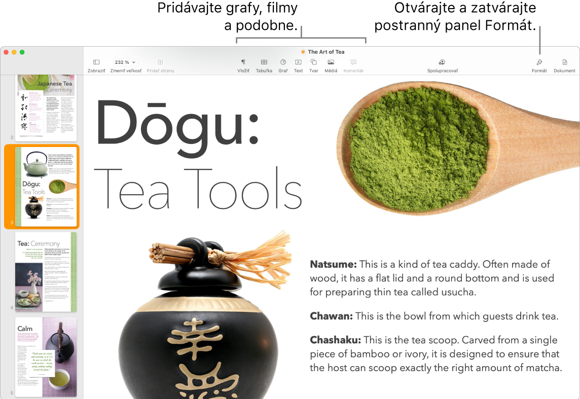 Okno Pages zobrazujúce miniatúry strán otvorené v postrannom paneli naľavo, panel s nástrojmi a jeho nástroje úprav v hornej časti, tlačidlo Spolupracovať v pravej hornej časti a tlačidlá Formátovať a Dokument napravo.