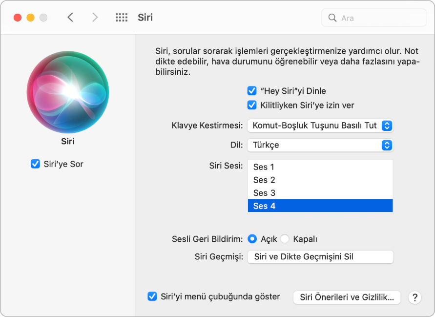 Sol tarafta Siri’ye Sor’u Etkinleştir seçili halde olan ve sağ tarafta “‘Hey Siri’yi Dinle” gibi çeşitli Siri’yi özelleştirme seçenekleri bulunan Siri tercihleri penceresi.