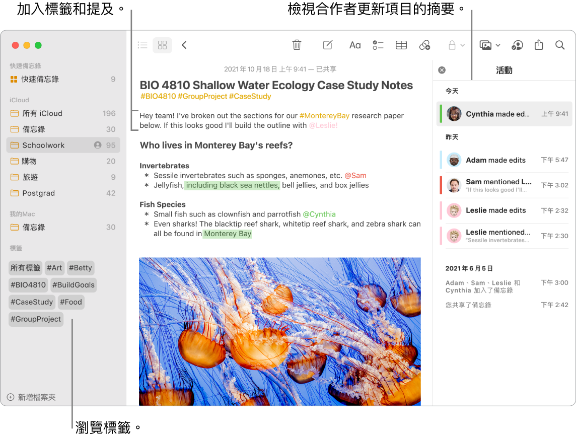 「圖庫」顯示方式中的「備忘錄」視窗,帶有側邊欄中標籤的說明框。主要備忘錄中顯示標籤和提及的圖說。右方為活動列表,顯示檢視更新摘要的圖說。