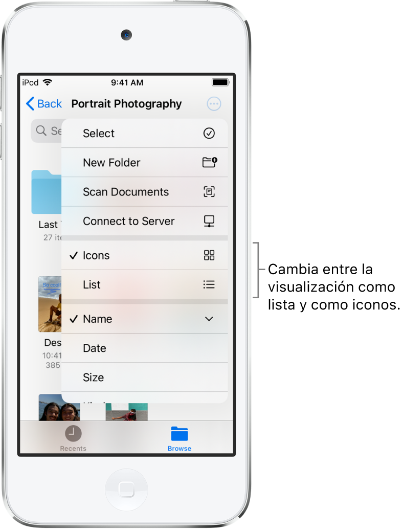 Ubicación de iCloud Drive para archivos de fotografía. Los ítems, organizados por nombre, son una carpeta llamada “Renovación de la casa” y seis documentos: Parada en el desierto, Azul Carolina, Pantano, Sombras de hojas, Voltereta de Marcos y Verde Susana. Cerca de la parte superior derecha se muestra un botón para cambiar entre la visualización de lista y como iconos.