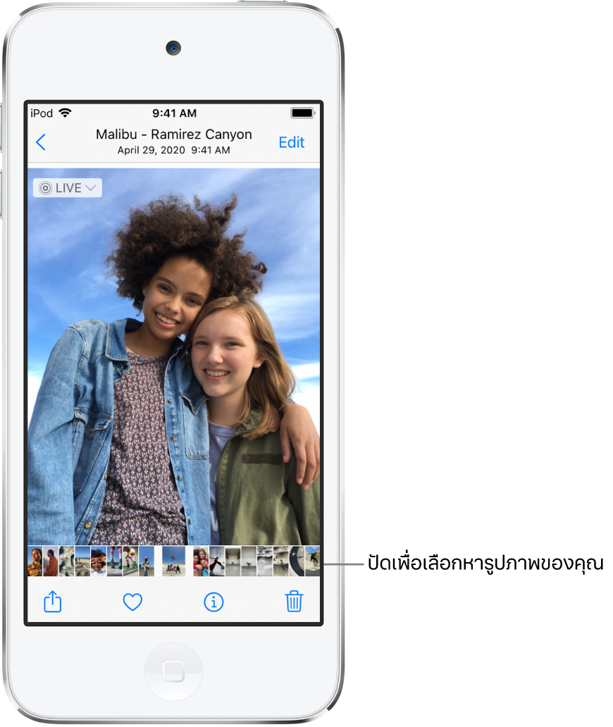 รูปภาพที่มีรูปย่อของรูปภาพอื่นๆ ทางด้านล่างสุดของหน้าจอ ที่ด้านซ้ายบนสุดคือปุ่มย้อนกลับ ซึ่งจะนำคุณกลับไปยังมุมมองที่คุณกำลังเลือกหา ที่ด้านล่างสุดมีปุ่มต่างๆ ได้แก่ ปุ่มแชร์ ปุ่มถูกใจ และปุ่มลบ ที่ด้านขวาบนสุดคือปุ่มแก้ไข