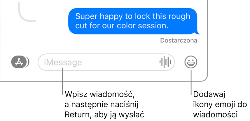 Rozmowa w oknie Wiadomości. Na dole okna widoczne jest pole wiadomości.