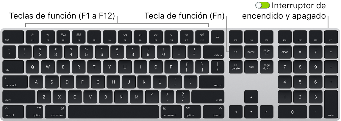 Teclado Magic Keyboard de mostrando la tecla de función (Fn) en la esquina inferior izquierda y el botón de encendido/apagado en la esquina superior derecha del teclado.