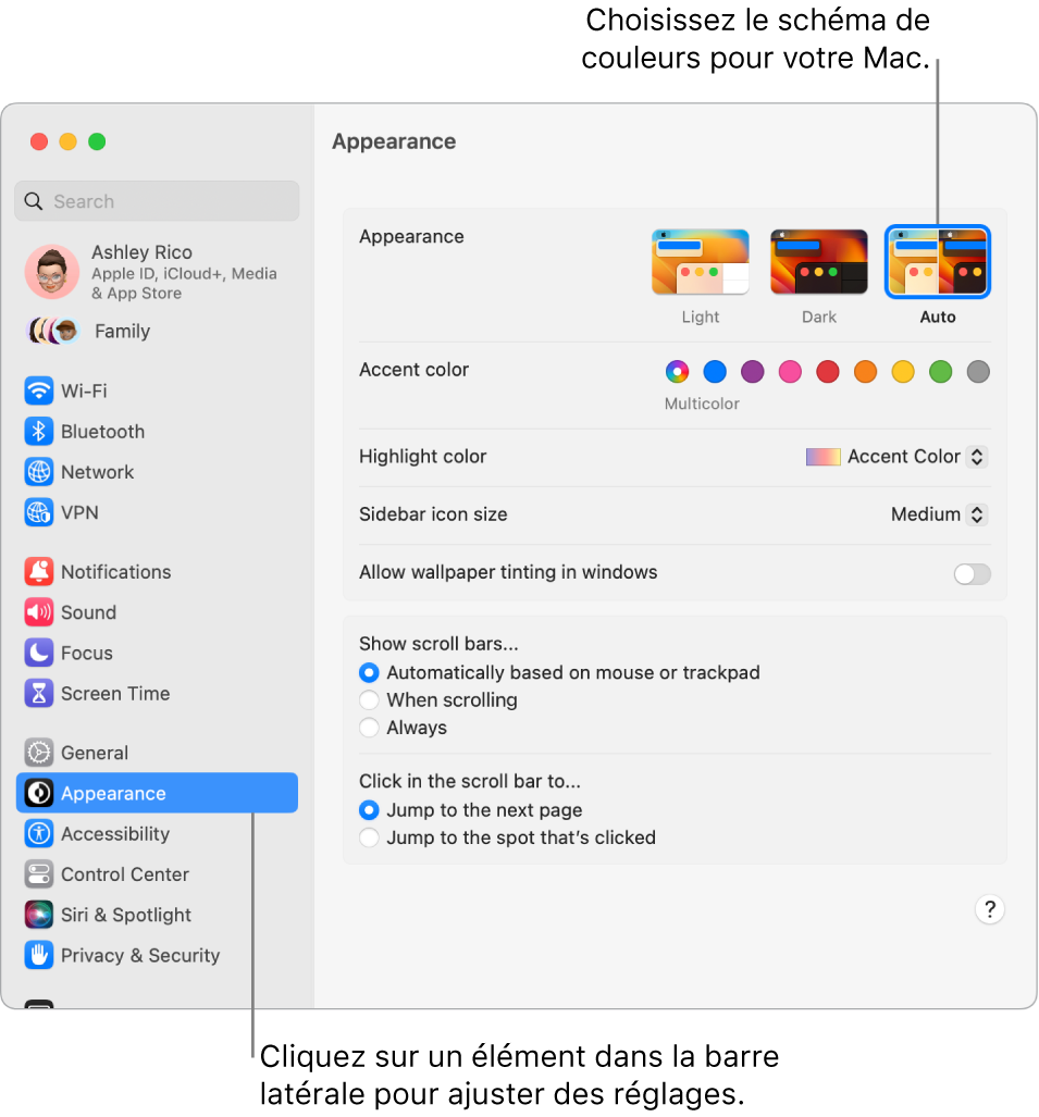 Réglages Apparence dans « Réglages Système ».