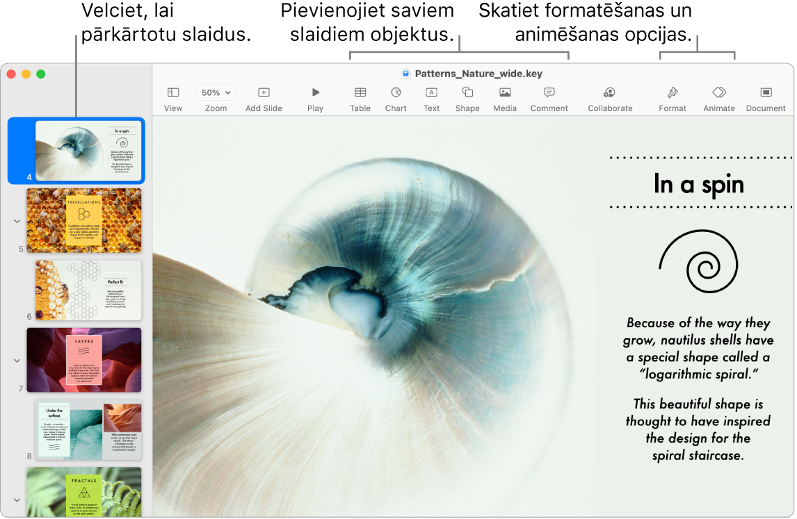 Lietotnes Keynote loga kreisajā malā redzams slaidu navigators un informācija par slaidu pārkārtošanu; rīkjosla un tās rediģēšanas rīki ir loga augšā, poga Collaborate augšējā labajā stūrī un pogas Format un Animate — labajā malā.