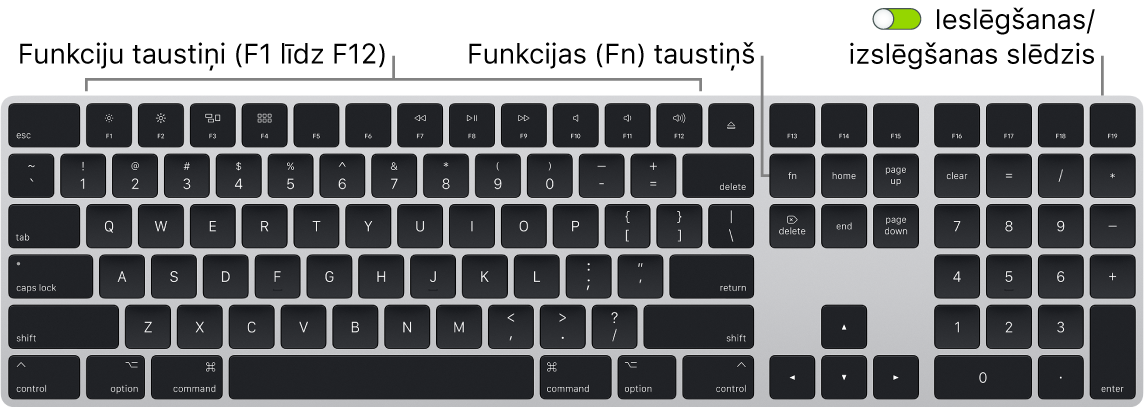 Tastatūras Magic Keyboard kreisajā apakšējā stūrī redzams taustiņš Function (Fn) un tastatūras augšējā labajā stūrī ieslēgšanas/izslēgšanas slēdzis.