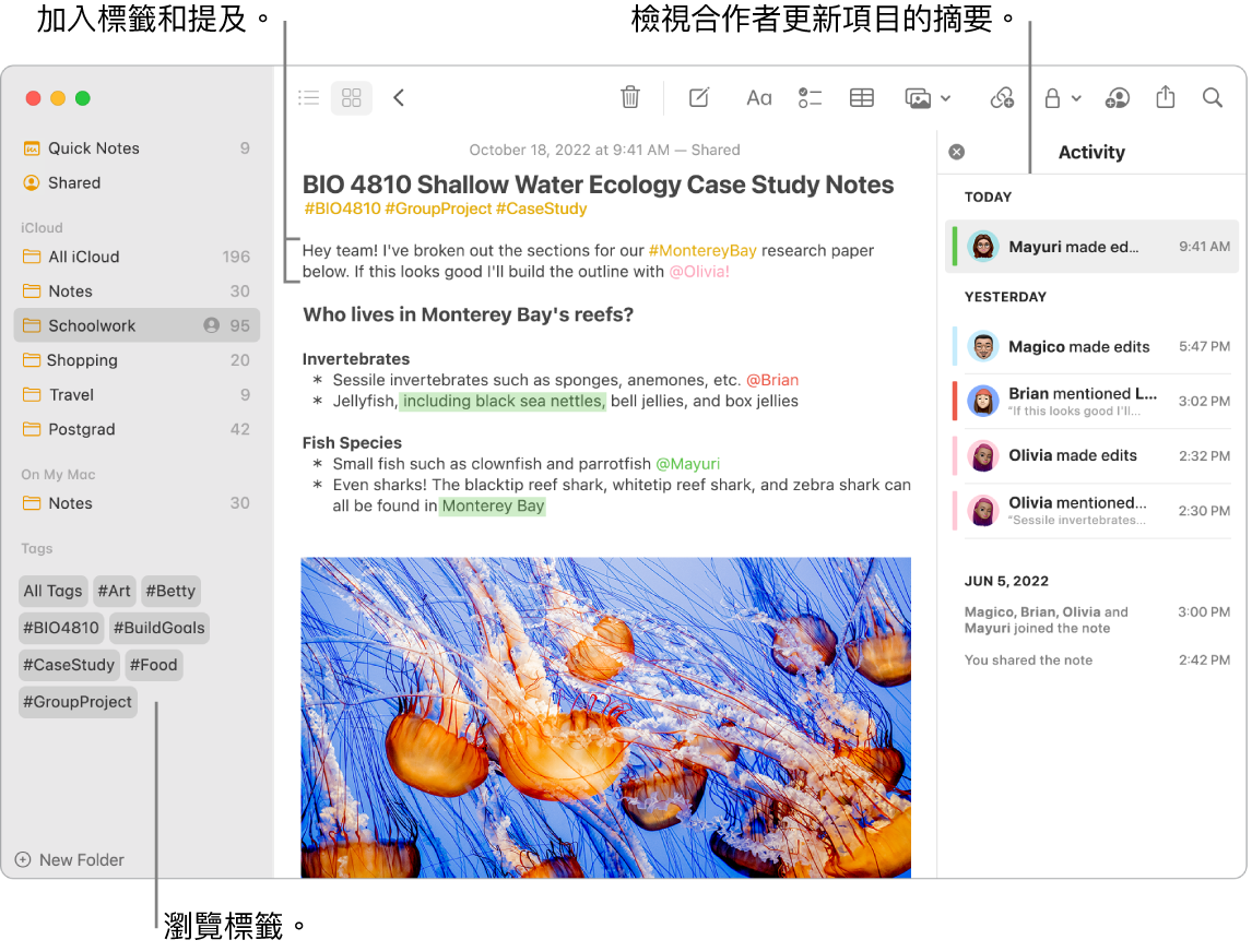 「圖庫」顯示方式中的「備忘錄」視窗,帶有側邊欄中標籤的說明框。主要備忘錄中顯示標籤和提及的圖說。右方為活動列表,顯示檢視更新摘要的圖說。