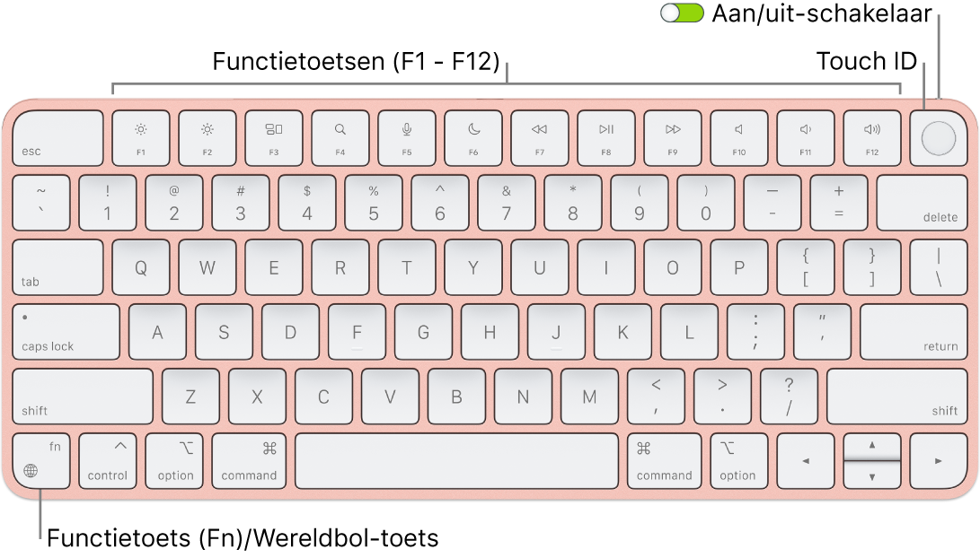 Het Magic Keyboard met Touch ID met een rij met functietoetsen en Touch ID bovenaan en de Fn-functietoets/Wereldbol-toets in de linkerbenedenhoek.