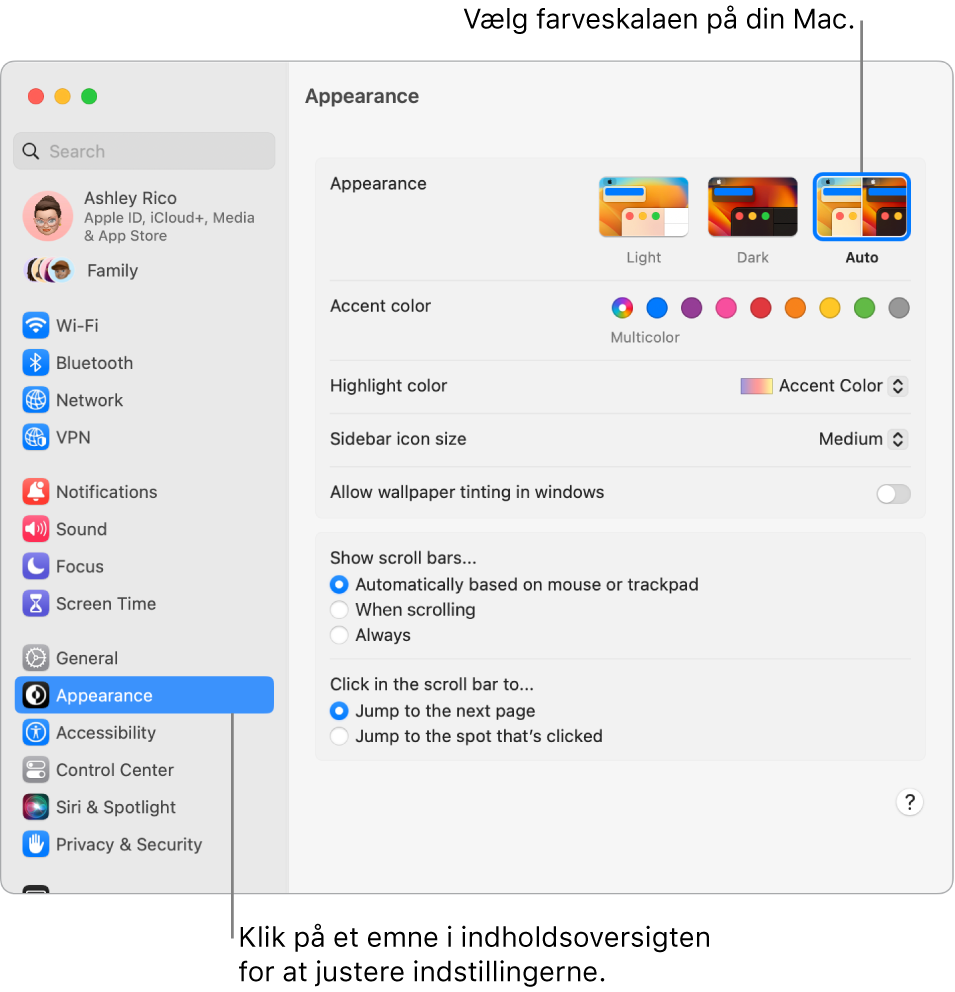 Vinduet Udseende i Systemindstillinger.
