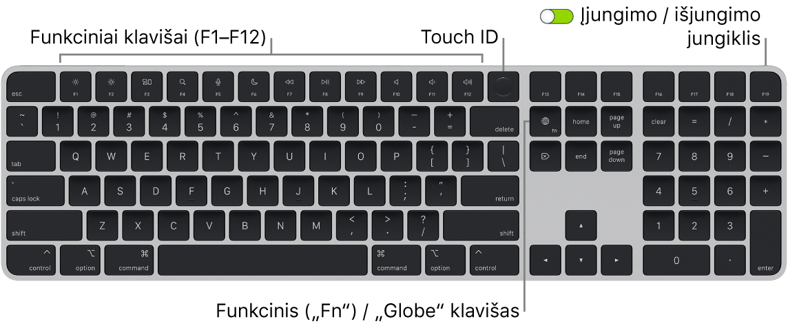 „Magic Keyboard“ su „Touch ID“ ir skaitmenų klaviatūra, viršuje matosi funkcinių klavišų eilė, „Touch ID“, o klavišo „Delete“ dešinėje – klavišas „Function“ („Fn“) / „Globe“.