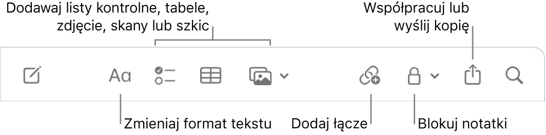 Pasek narzędzi aplikacji Notatki z dymkami pomocy do formatowania tekstu, dodawania list kontrolnych, tabel, łączy, zdjęć i multimediów, blokowania notatek, udostępniania ich oraz wysyłania kopii.