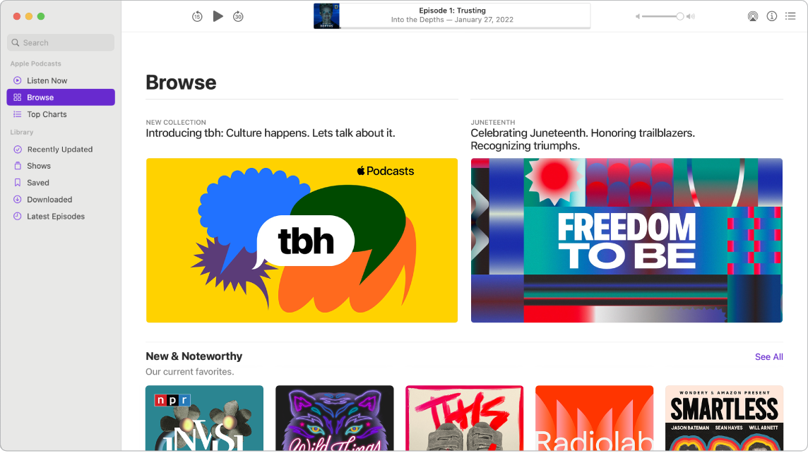 Okno Podcasty se sloupcem na levé straně, který obsahuje vyhledávací pole v záhlaví a pod ním seznam voleb zobrazení. V seznamu je vybraná volba Prohlížení a na pravé straně se zobrazují jednotlivé podcasty.