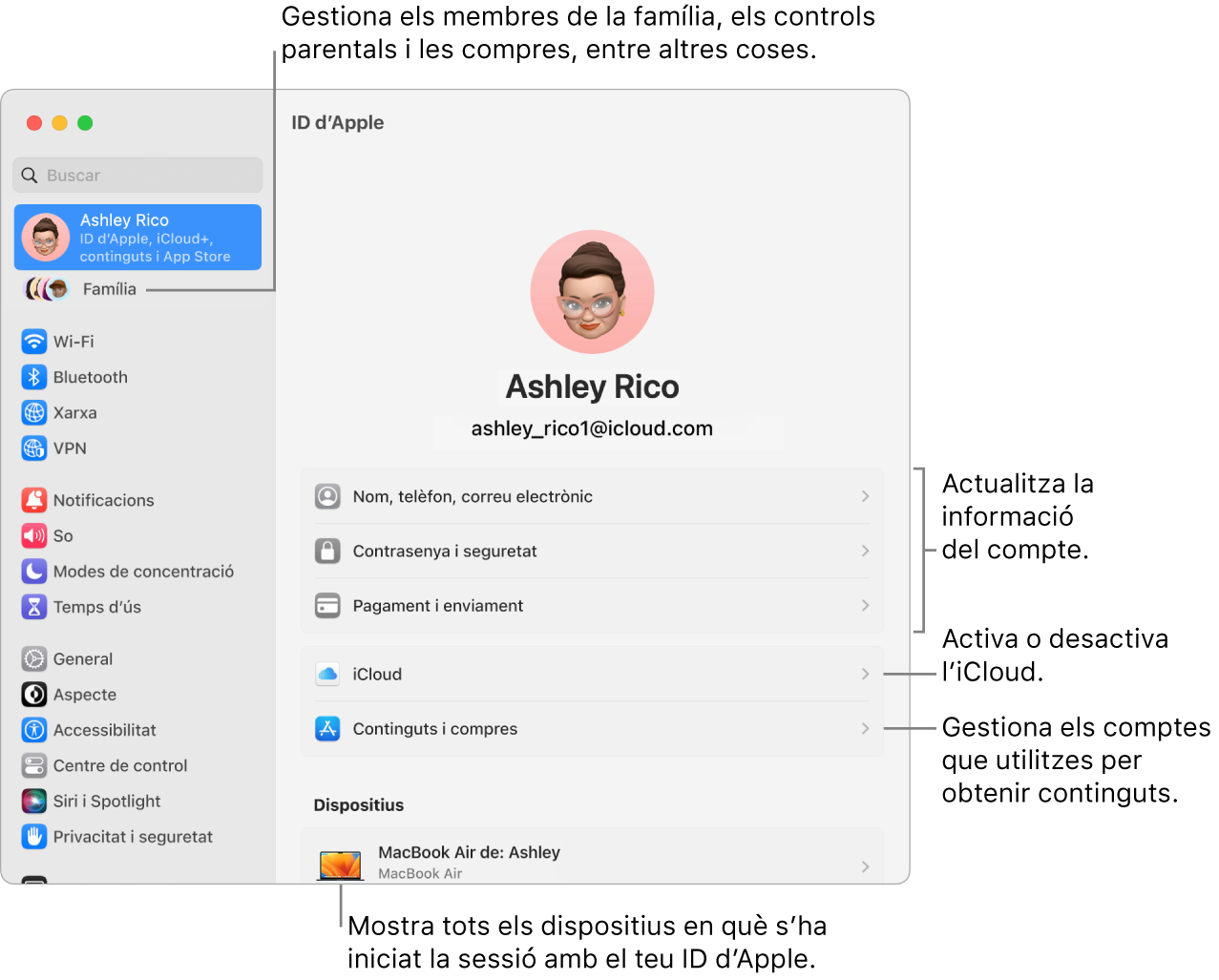 La configuració de l’ID d’Apple a l’app Configuració del Sistema amb llegendes a les opcions per actualitzar la informació del compte, activar i desactivar les funcions de l’iCloud, gestionar comptes de contingut multimèdia i “En família”, on es poden gestionar els membres de la família, els controls parentals, les compres i molt més.
