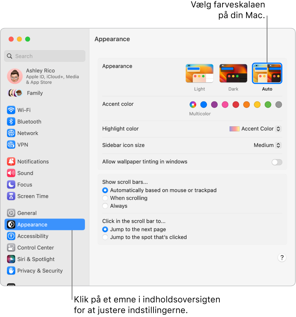 Vinduet Udseende i Systemindstillinger.