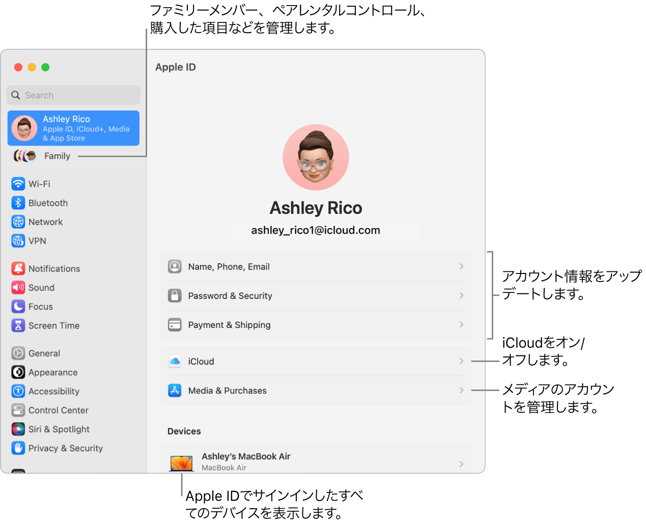 「システム設定」の「Apple ID」設定。アカウント情報のアップデート、iCloud機能のオン/オフ、メディアアカウントの管理と、ファミリーメンバー、ペアレンタルコントロール、購入などを管理できる「ファミリー」へのコールアウトがあります。