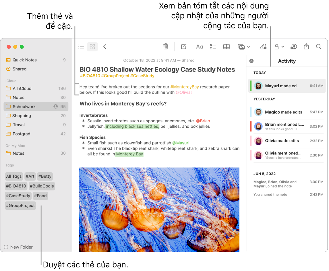 Một cửa sổ Ghi chú trong chế độ xem Thư viện với chú thích đến các thẻ trong thanh bên. Trong ghi chú chính, có một chú thích đến thẻ và đề cập. Ở bên phải là danh sách hoạt động với một chú thích để xem tóm tắt nội dung cập nhật.