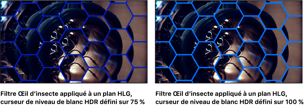 Le canevas montrant les effets des ajustements du curseur « Niveau de blanc HDR » sur le filtre « Œil d’insecte ».