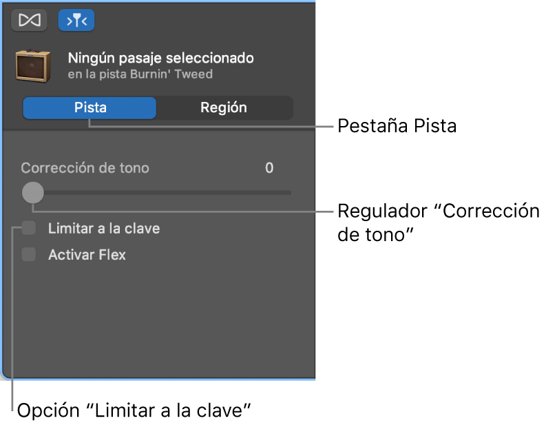 Inspector del editor de audio en modo Pista, con el regulador Corrección de tono y la casilla Limitar a la clave.