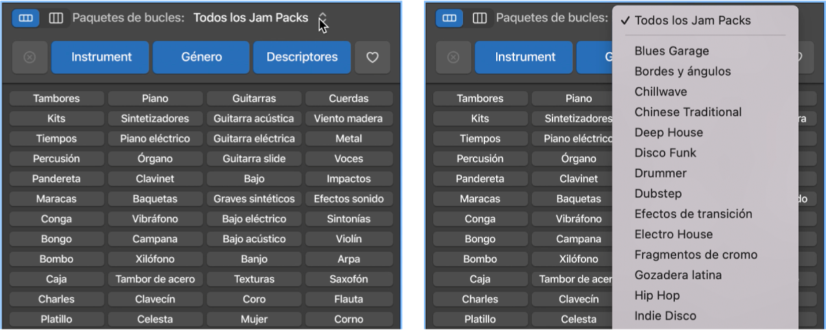 Se muestra el menú desplegable Loops.