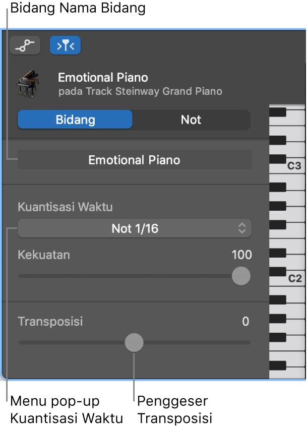 Inspektur Editor Rol Piano dalam mode Bidang, yang menampilkan kontrol.