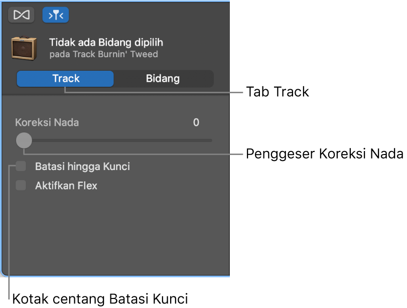 Inspektur Editor Audio dalam mode Track, yang menampilkan penggeser Koreksi Nada dan kotak centang Batasi Hingga Kunci.
