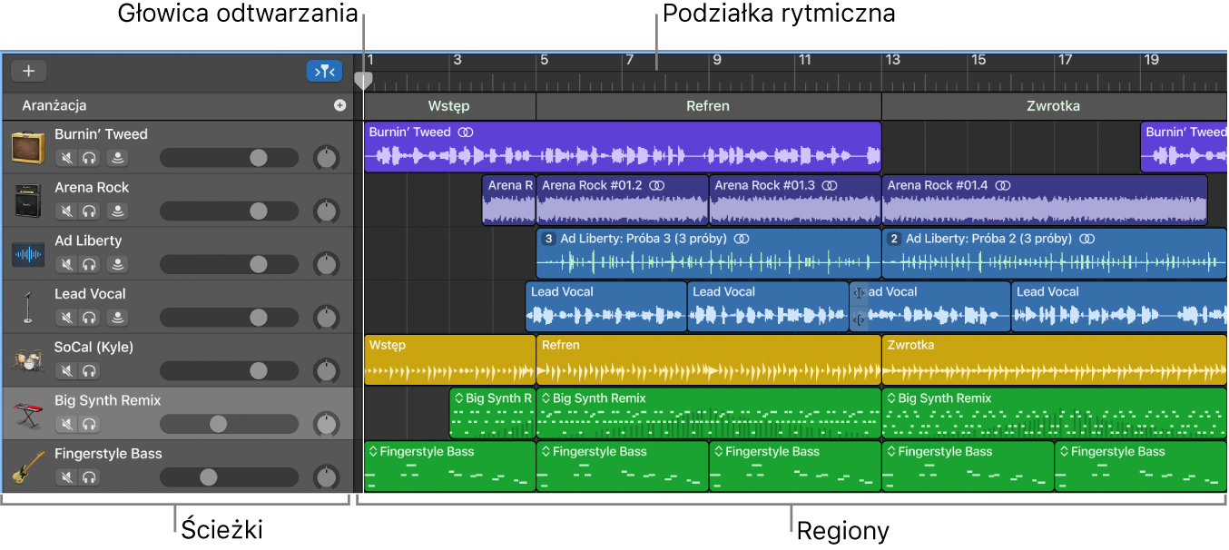Obszar ścieżek ze ścieżkami, regionami, głowicą odtwarzania oraz podziałką rytmiczną.
