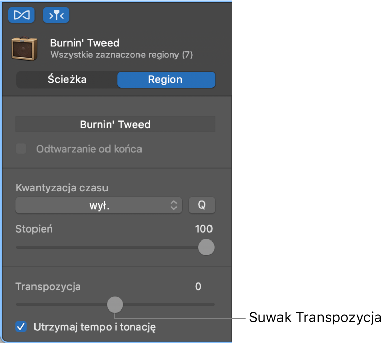 Inspektor edytora audio w trybie regionu z suwakiem Transpozycja.