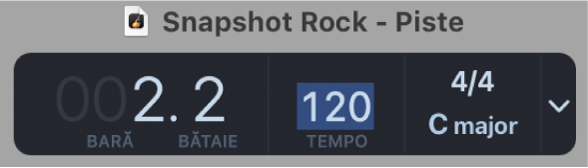 LCD în bara de control, editând tempoul
