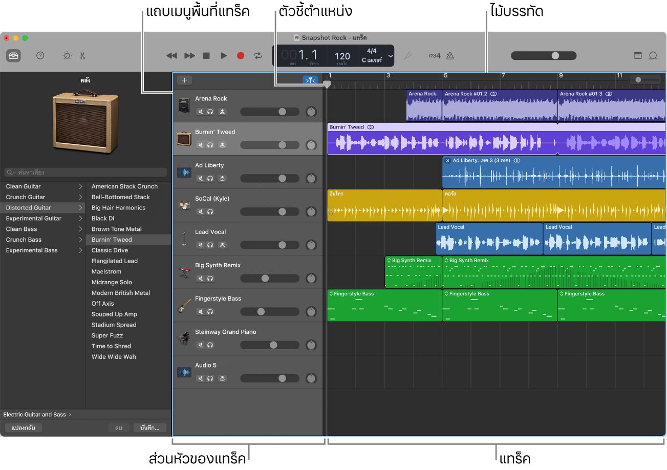 พื้นที่แทร็ค