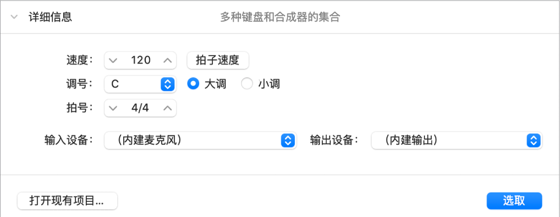 项目选取器的“详细信息”区域已打开,并显示参数