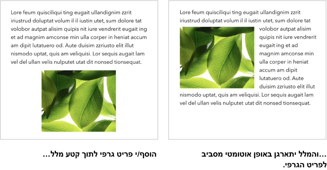 חלון של Pages המראה כיצד מלל גולש מסביב לגרפיקה.