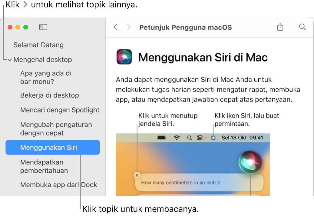 Penampil Bantuan menampilkan cara melihat topik yang terdapat di bar samping dan cara menampilkan konten topik.