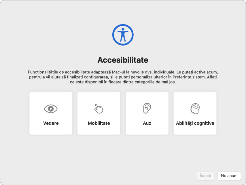 Ecranul unui Mac afișând opțiunile Accesibilitate în Asistent de configurare.