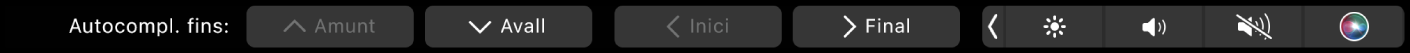 La Touch Bar del Numbers mostrant els botons d’Autocompletar. Aquests botons inclouen els botons superior, inferior, inici i final.