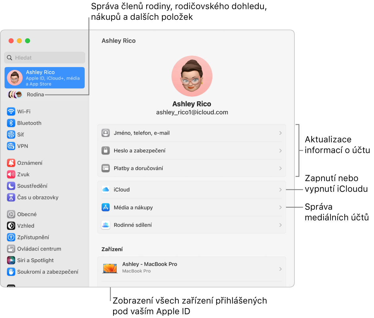 Volby Apple ID v Nastavení systému s popisky u ovládacích prvků pro aktualizaci informací o účtu, zapnutí nebo vypnutí různých funkcí iCloudu a správu účtů pro média a u volby Rodina, která vám umožňuje spravovat členy rodiny, rodičovský dohled, nákupy a další položky