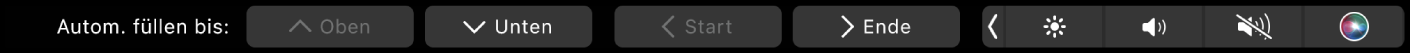 Die Numbers-Touch Bar mit angezeigter Taste für das automatische Ausfüllen Dazu gehören die Tasten „Oben“, „Unten“, „Start“ und „Ende“.