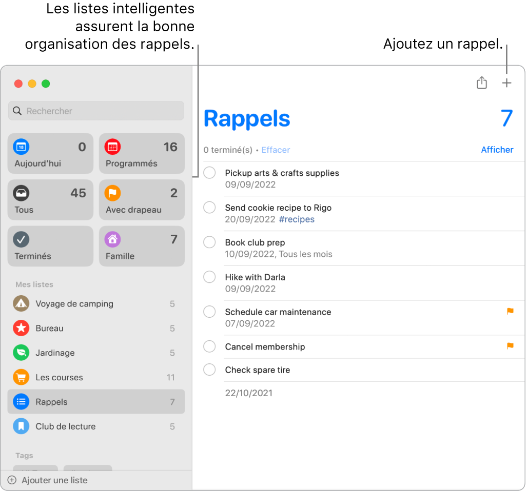Fenêtre de Rappels avec des listes intelligentes sur la gauche, et d’autres rappels et listes en dessous. Le pointeur se trouve sur un rappel. Les listes intelligentes et le bouton « Ajouter un nouveau rappel » sont accompagnés de légendes.