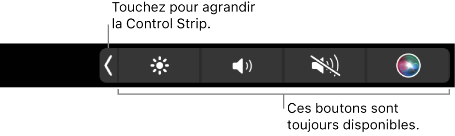 Un écran partiel de la Touch Bar par défaut, affichant la Control Strip réduite avec ses boutons disponibles en toutes circonstances, quelle que soit l’app utilisée : ceux permettant d’ajuster la luminosité, de régler le volume et d’activer ou de désactiver le son. Touchez le bouton de développement pour afficher toute la <NoBreak change_bar="mark">Control Strip</NoBreak>.