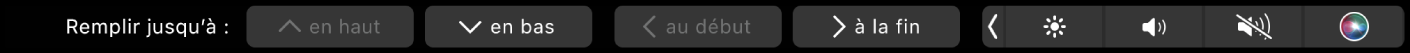 Touch Bar de Numbers affichant les boutons de remplissage automatique. Cela comprend les options Haut, Bas, Début et Fin.