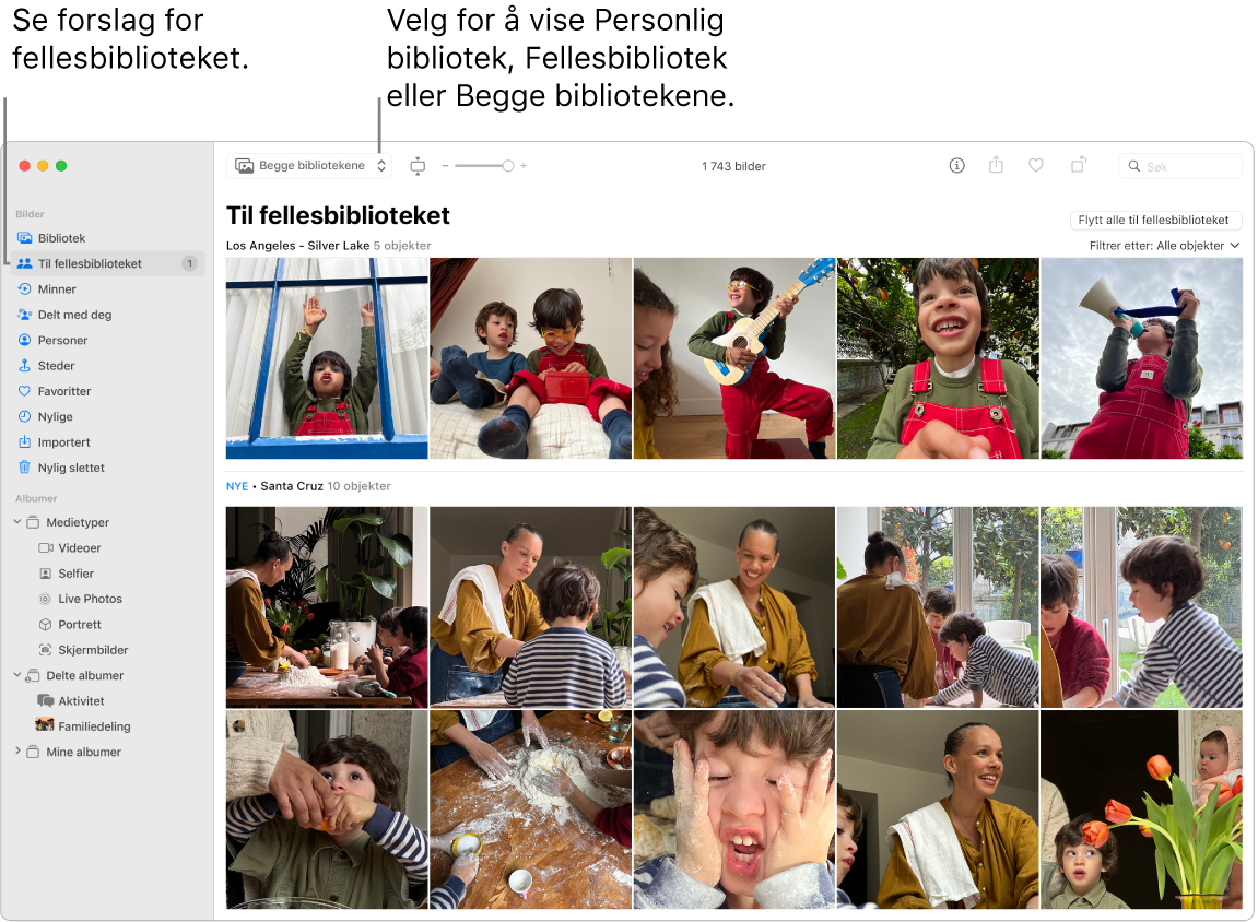 Bilder-vinduet som viser Felles bildebibliotek i iCloud.