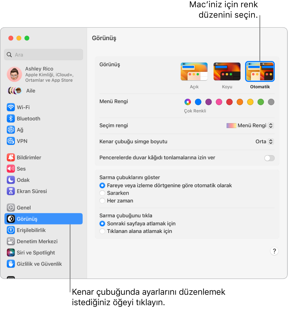 Sistem Ayarları’ndaki Görünüş penceresi.