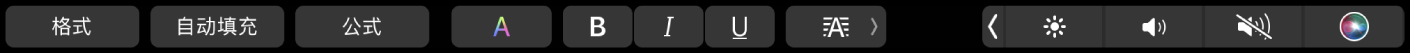 含“格式”、“自动填充”和“公式”按钮的 Numbers 表格触控栏。还包含文本格式化按钮,如颜色、粗体、斜体、下划线和对齐。