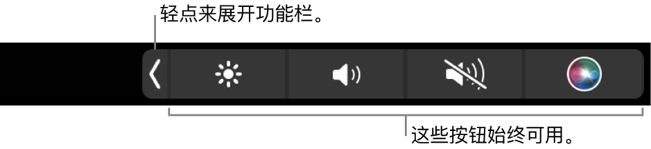 默认触控栏的部分屏幕,显示折叠的功能栏以及始终可用的按钮:亮度、音量和静音。轻点展开按钮以显示完整的功能栏。