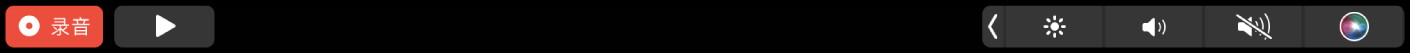含播放/暂停按钮的“视频”触控栏,其中录制按钮已选中。