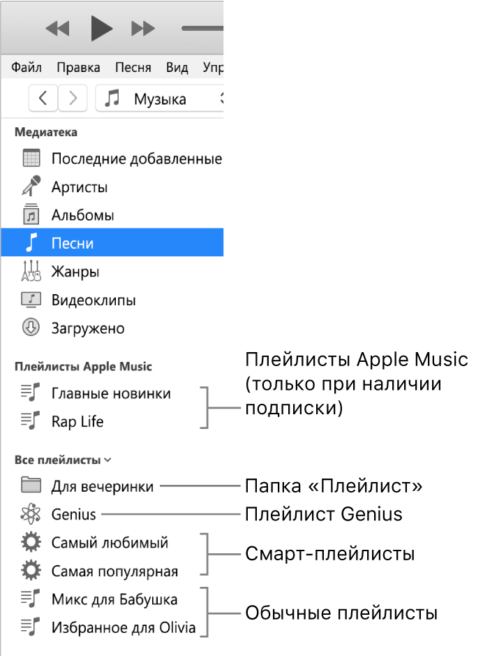 Боковое меню iTunes с различными типами плейлистов: Apple Music (только для подписчиков), Genius, смарт-плейлисты и стандартные плейлисты, а также папка плейлистов.