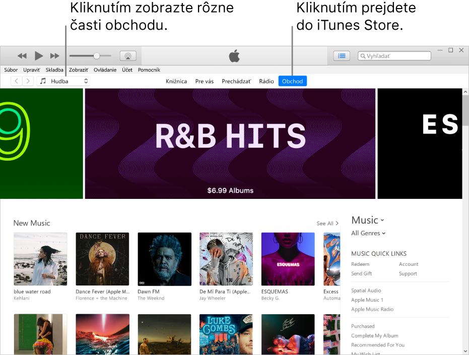 Hlavné okno obchodu iTunes Store: V navigačnom paneli je zvýraznená položka Obchod. V ľavom hornom rohu vyberte zobrazenie rôzneho typu obsahu v obchode (napríklad Hudba alebo TV).