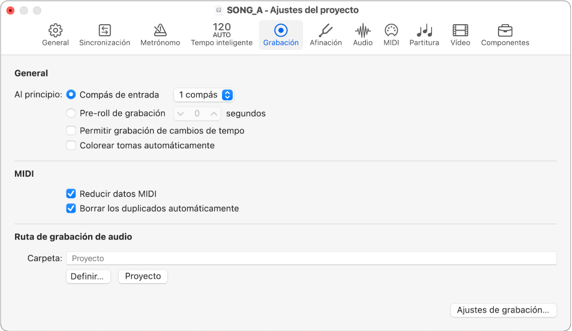 Ilustración. Panel Grabación de ajustes del proyecto.