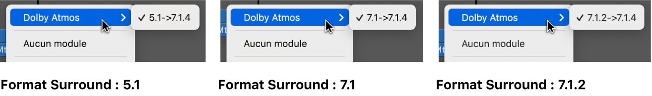 Figure. Modes Canal disponibles pour le module Dolby Atmos.
