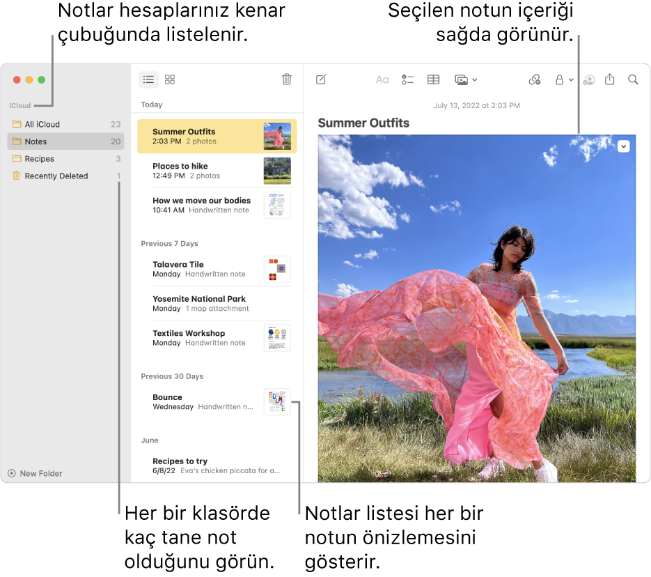 Tüm ayarlanmış hesaplarınızın ve klasörlerinizin listesini içeren soldaki kenar çubuğuyla Notes penceresi, ortada her notun önizlemesini gösteren not listesi ve sağda görünen, seçilen notun içeriği. Notların sayısı her bir klasörün yanında görünür.